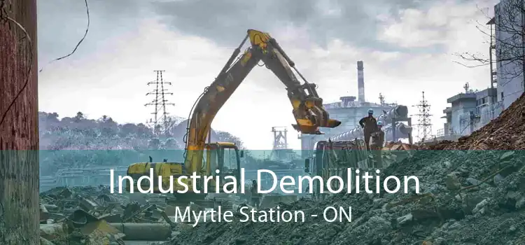 Industrial Demolition Myrtle Station - ON