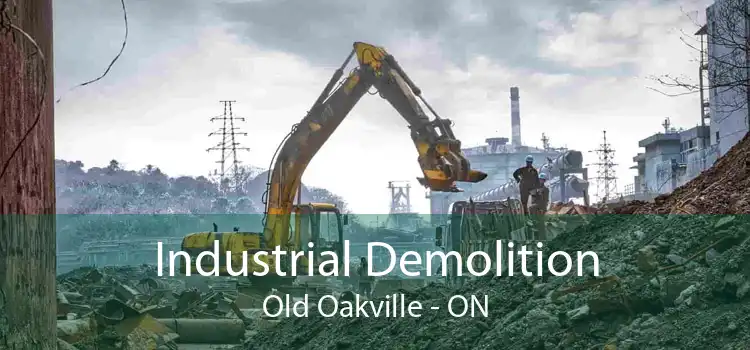 Industrial Demolition Old Oakville - ON