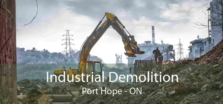 Industrial Demolition Port Hope - ON