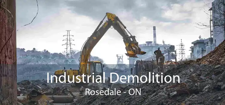 Industrial Demolition Rosedale - ON