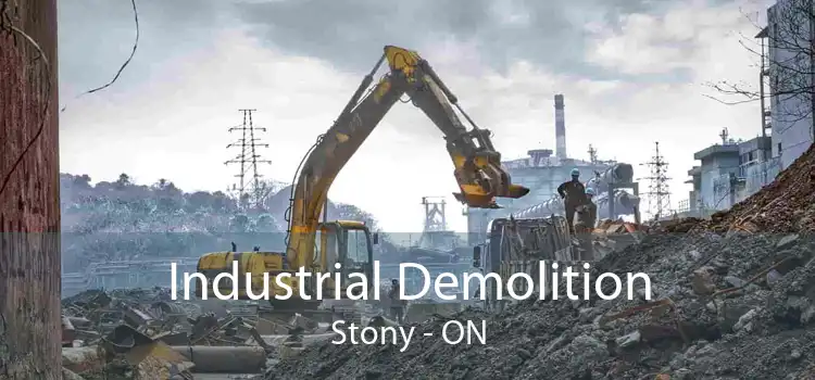 Industrial Demolition Stony - ON