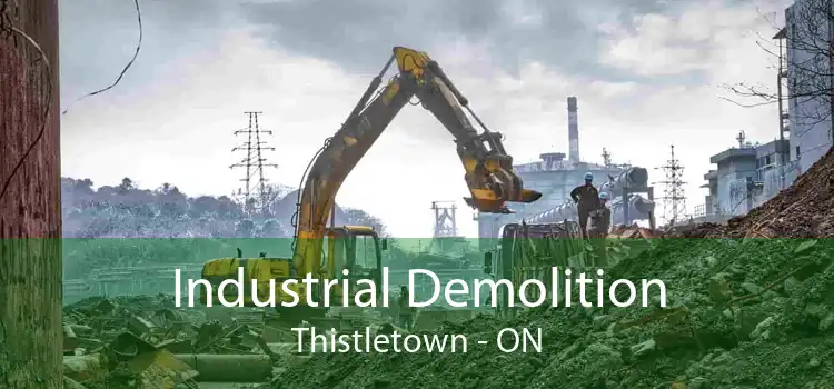 Industrial Demolition Thistletown - ON