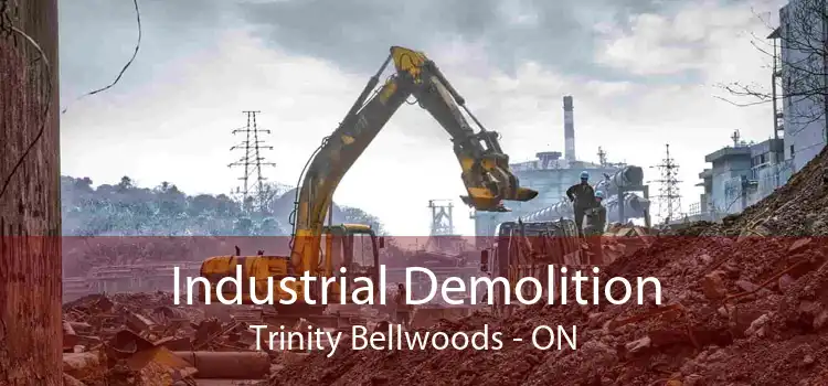 Industrial Demolition Trinity Bellwoods - ON