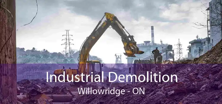 Industrial Demolition Willowridge - ON