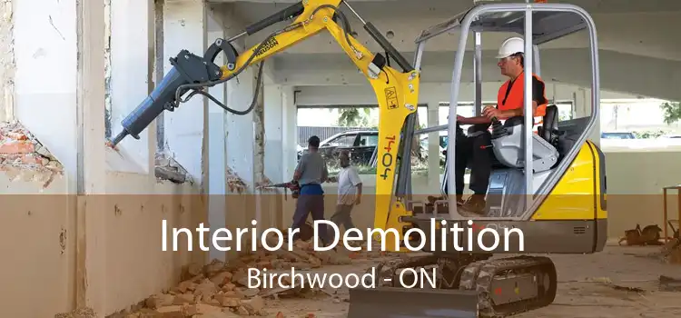 Interior Demolition Birchwood - ON