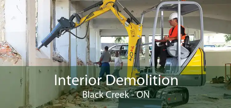 Interior Demolition Black Creek - ON