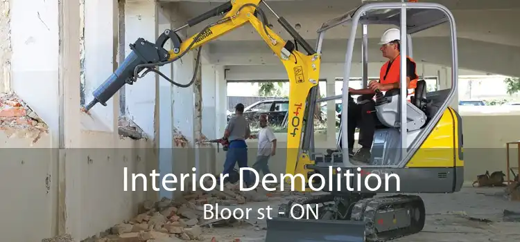 Interior Demolition Bloor st - ON