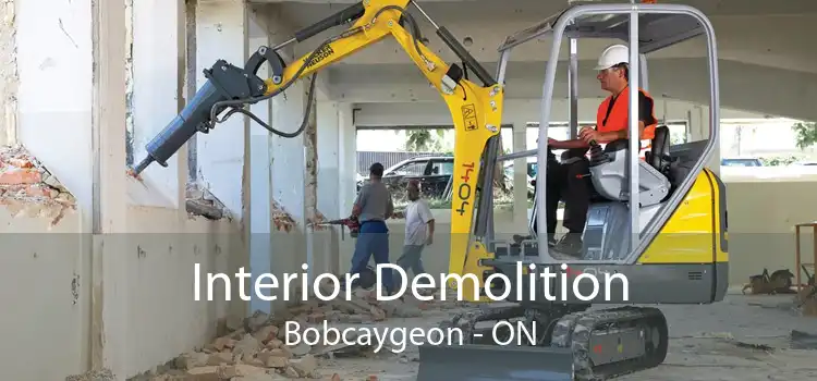 Interior Demolition Bobcaygeon - ON