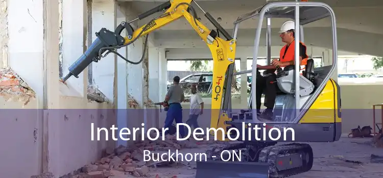 Interior Demolition Buckhorn - ON