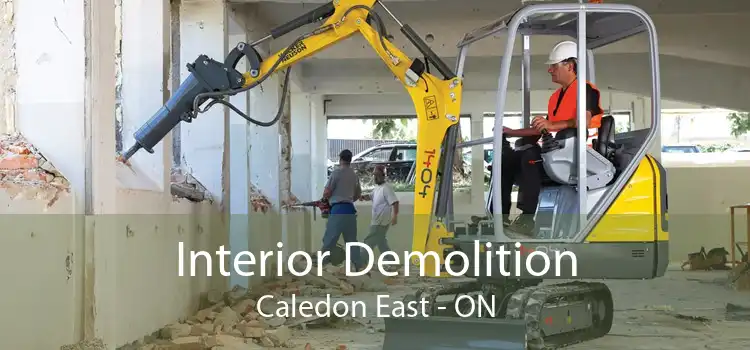 Interior Demolition Caledon East - ON