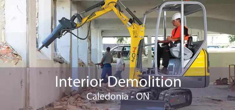 Interior Demolition Caledonia - ON