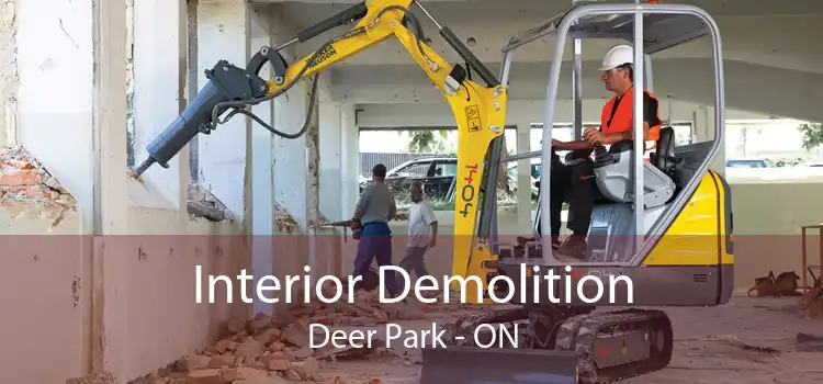 Interior Demolition Deer Park - ON