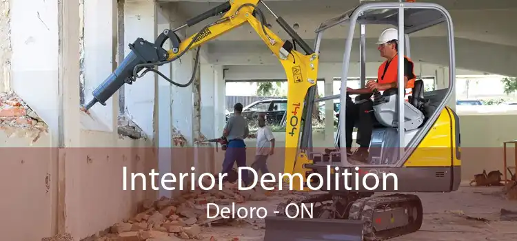 Interior Demolition Deloro - ON