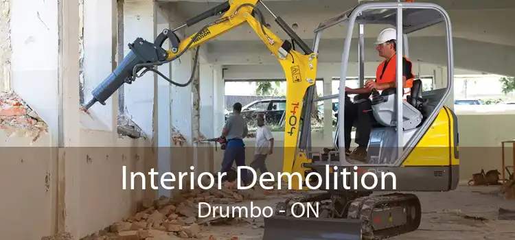 Interior Demolition Drumbo - ON