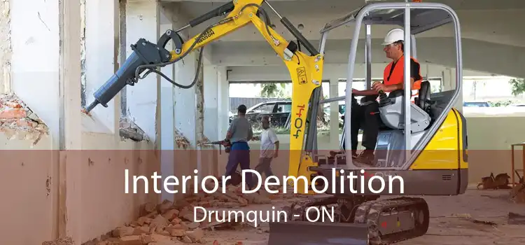 Interior Demolition Drumquin - ON