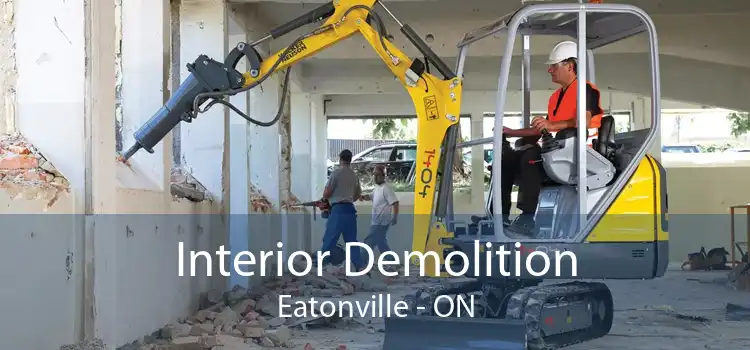 Interior Demolition Eatonville - ON