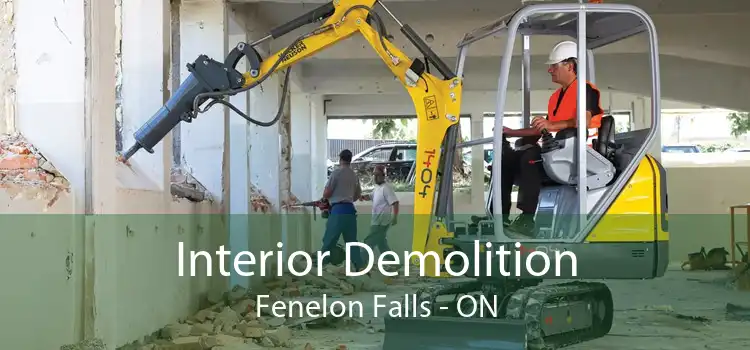 Interior Demolition Fenelon Falls - ON