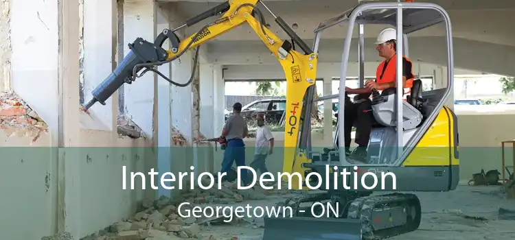 Interior Demolition Georgetown - ON
