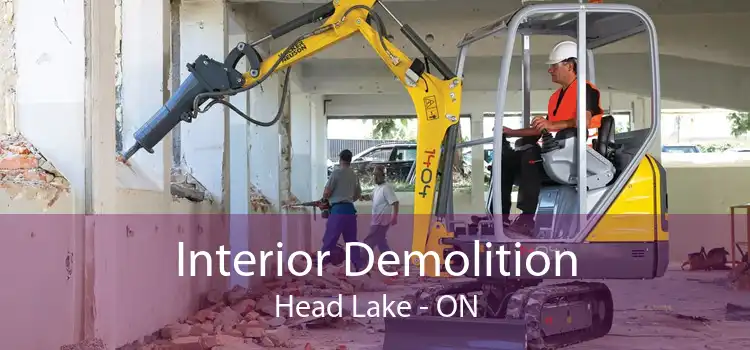 Interior Demolition Head Lake - ON