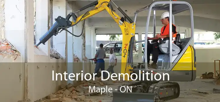 Interior Demolition Maple - ON