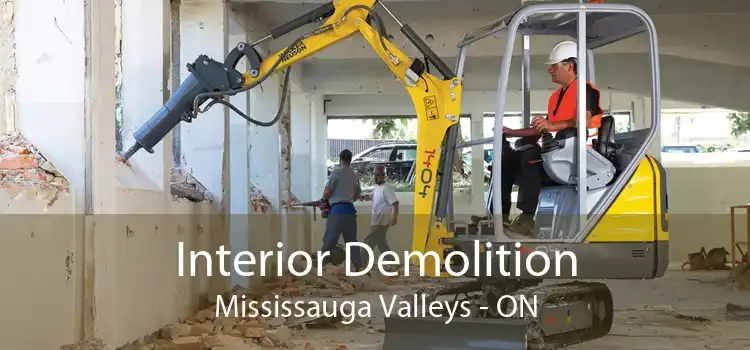 Interior Demolition Mississauga Valleys - ON