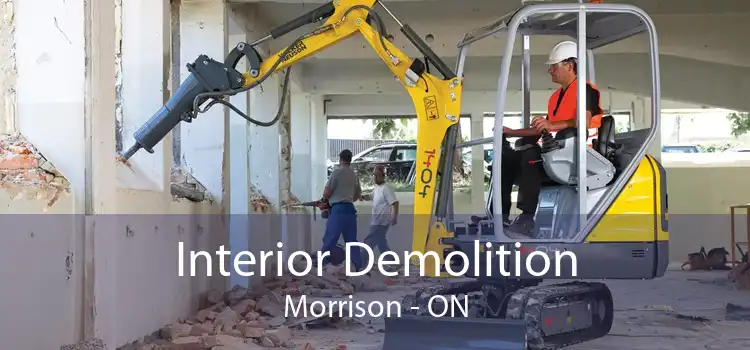 Interior Demolition Morrison - ON