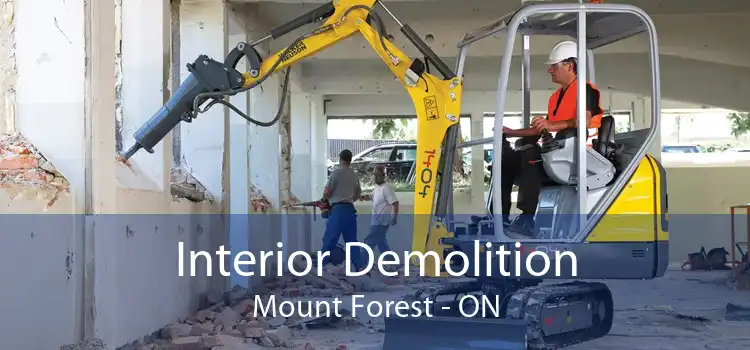 Interior Demolition Mount Forest - ON