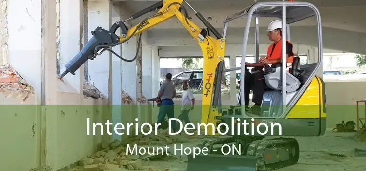 Interior Demolition Mount Hope - ON