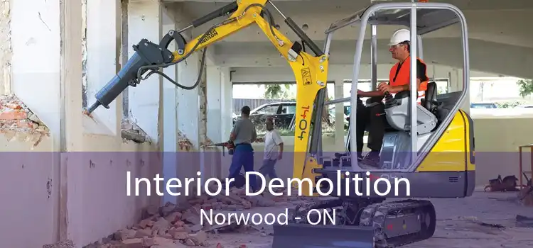 Interior Demolition Norwood - ON