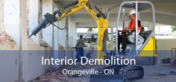 Interior Demolition Orangeville - ON