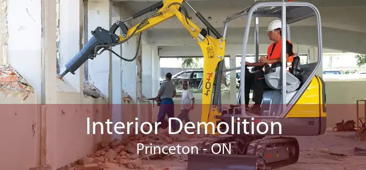 Interior Demolition Princeton - ON