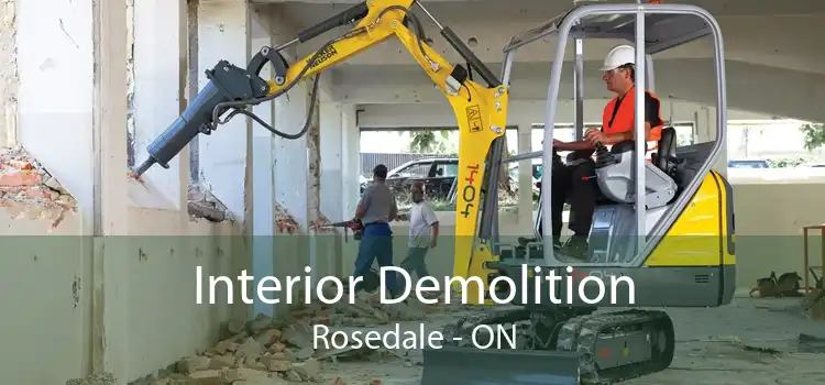 Interior Demolition Rosedale - ON