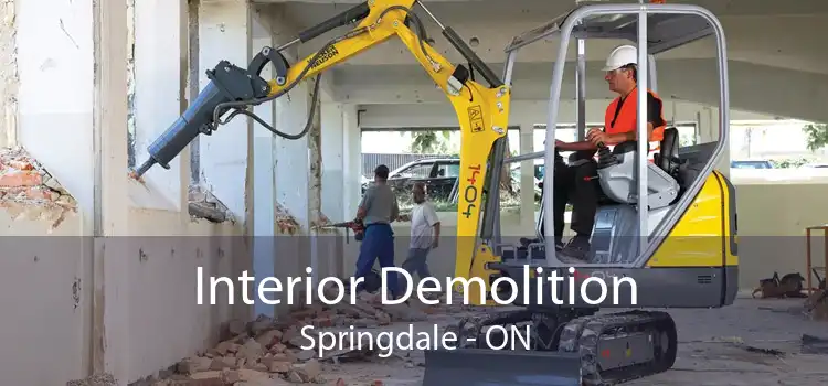 Interior Demolition Springdale - ON