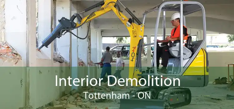 Interior Demolition Tottenham - ON