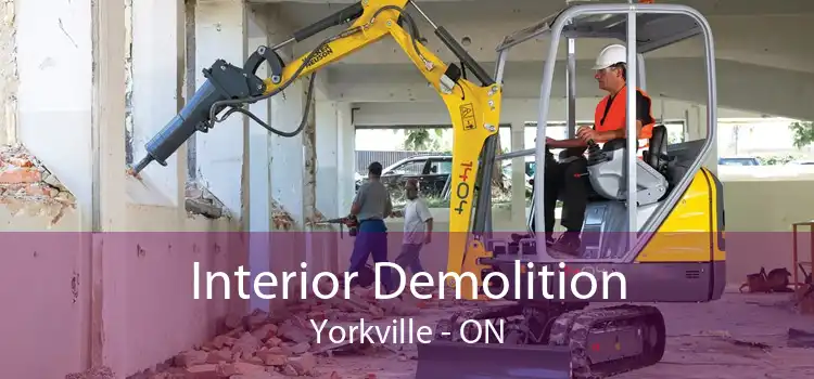 Interior Demolition Yorkville - ON