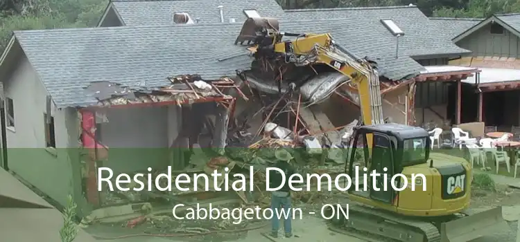 Residential Demolition Cabbagetown - ON