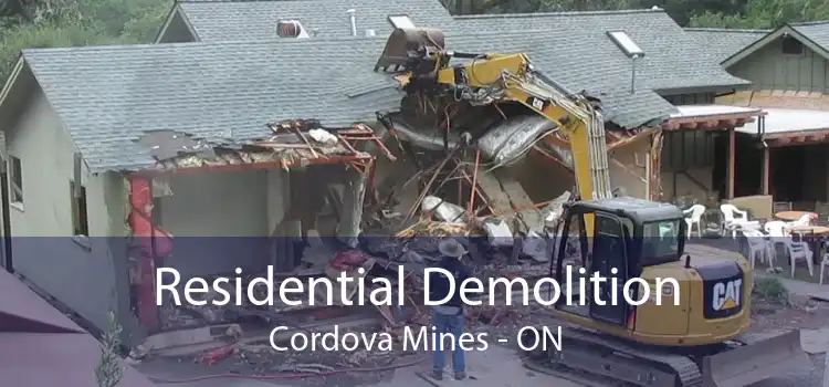 Residential Demolition Cordova Mines - ON