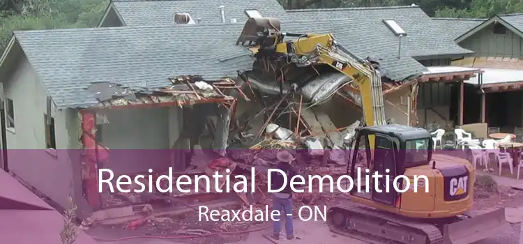 Residential Demolition Reaxdale - ON