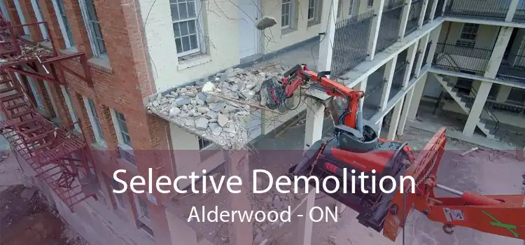 Selective Demolition Alderwood - ON