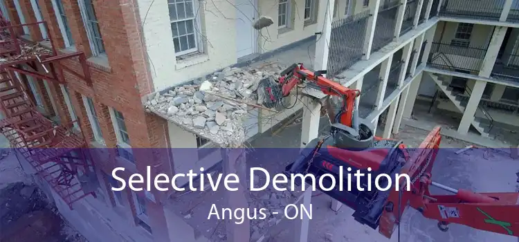 Selective Demolition Angus - ON