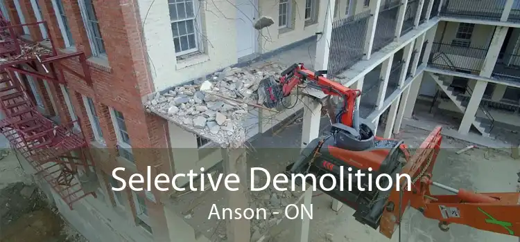 Selective Demolition Anson - ON