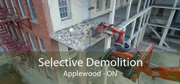Selective Demolition Applewood - ON