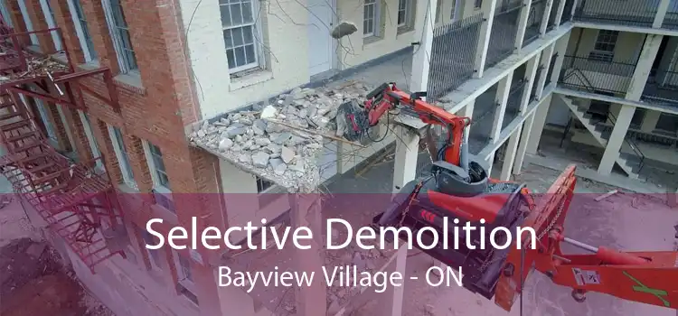 Selective Demolition Bayview Village - ON