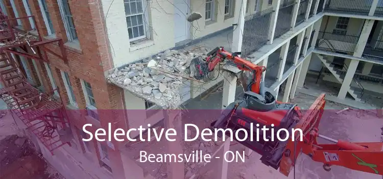 Selective Demolition Beamsville - ON