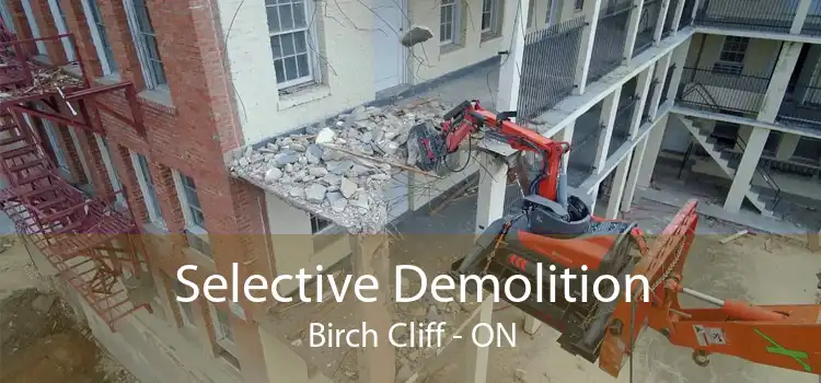 Selective Demolition Birch Cliff - ON