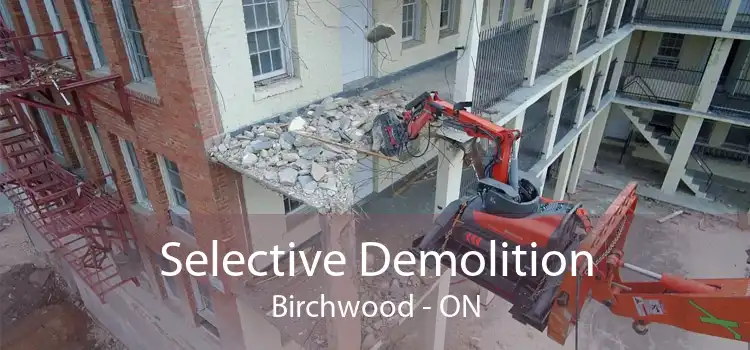 Selective Demolition Birchwood - ON