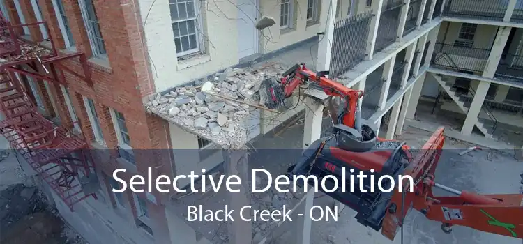 Selective Demolition Black Creek - ON