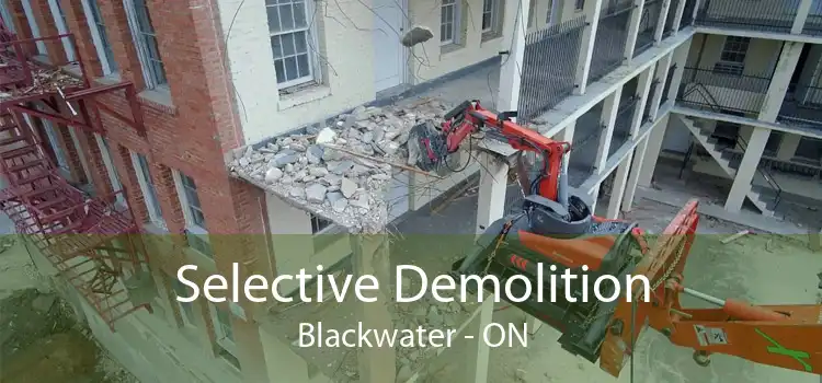 Selective Demolition Blackwater - ON