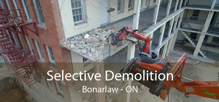 Selective Demolition Bonarlaw - ON