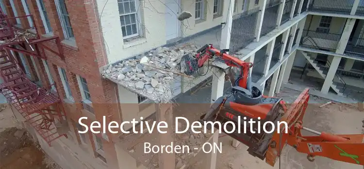 Selective Demolition Borden - ON